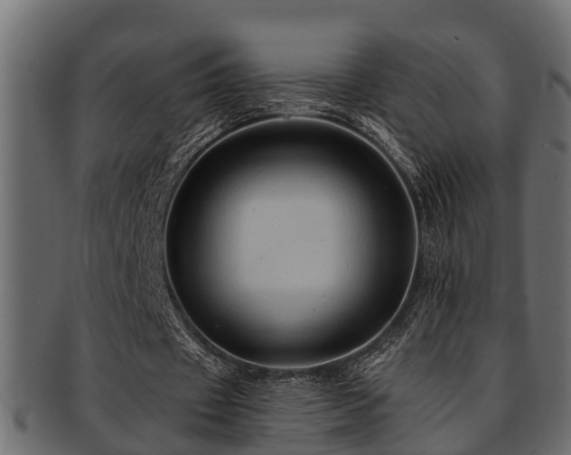 X0000093110433200709261254