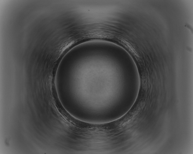 X0000093110434200709261254