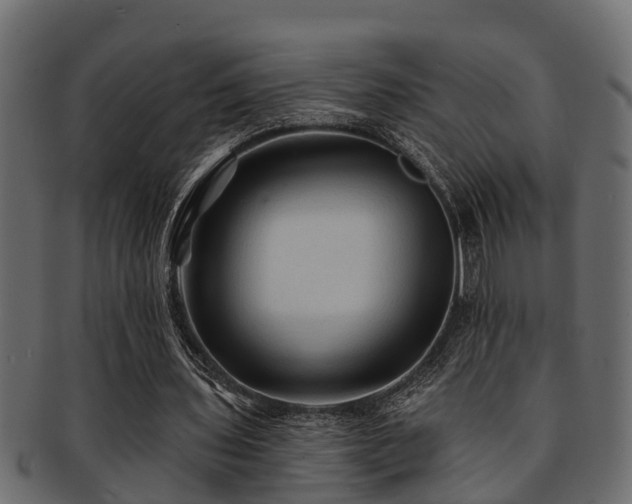 X0000093110435200709261254