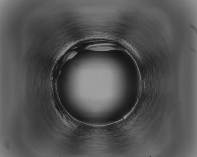 X0000093110436200709261254