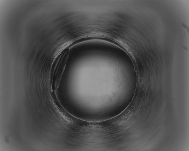 X0000093110437200709261254