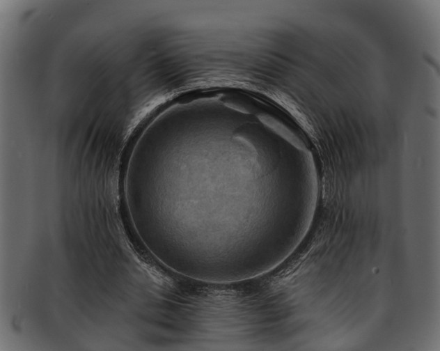 X0000093110438200709261254
