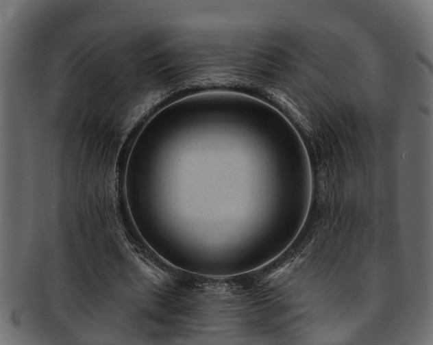 X0000093110439200709261254