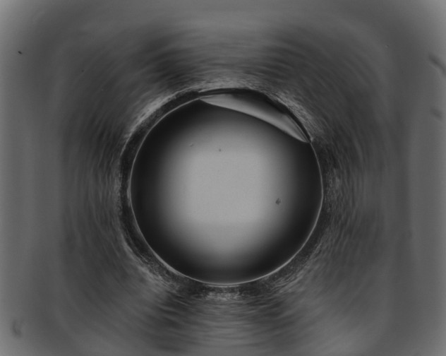 X0000093110440200709261254