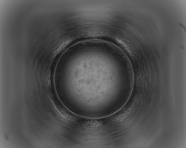 X0000093110443200709261254