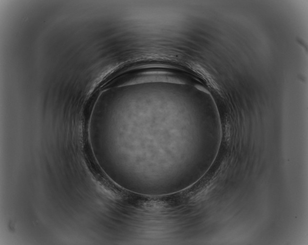 X0000093110444200709261254