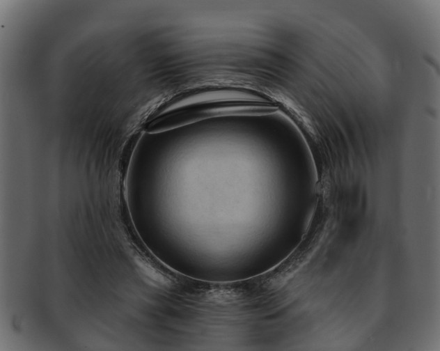 X0000093110445200709261254