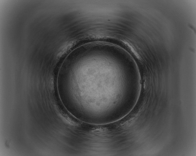 X0000093110447200709261254