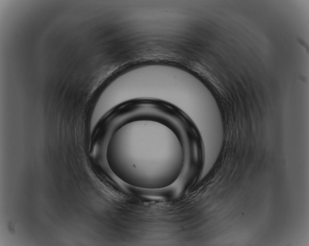 X0000093110448200709261254