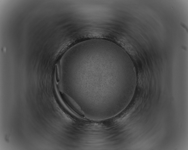 X0000093110449200709261254