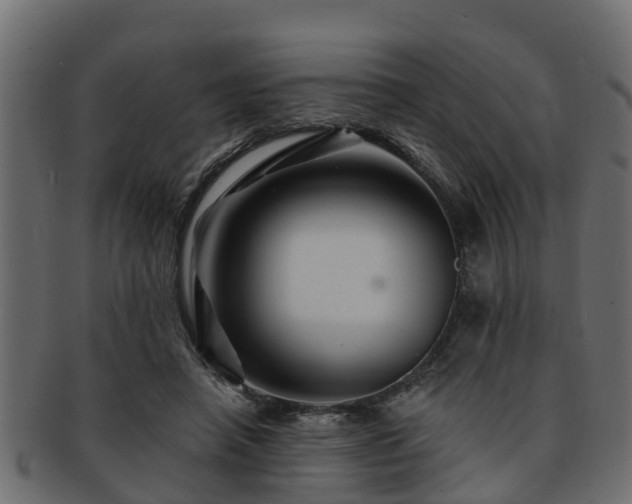 X0000093110450200709261254