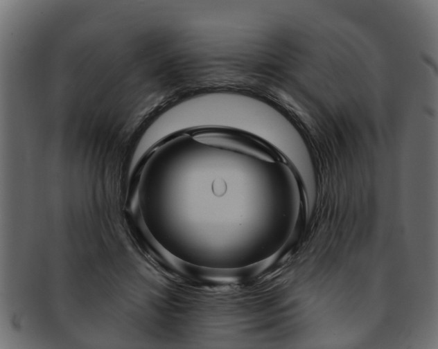 X0000093110452200709261254