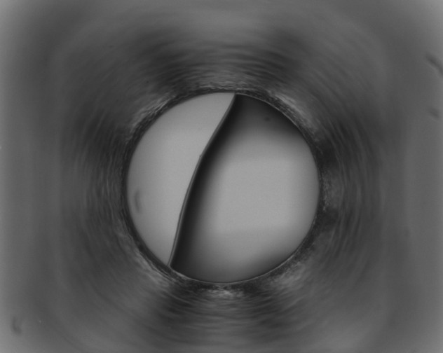 X0000093110453200709261254