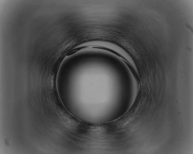 X0000093110454200709261254