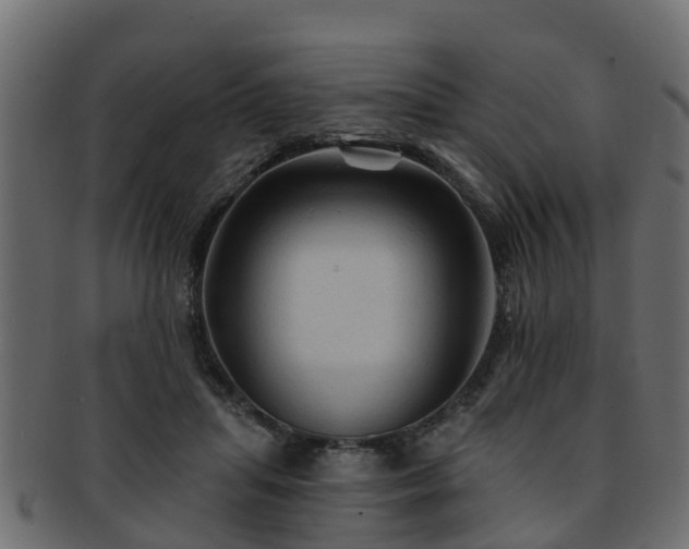 X0000093110455200709261254