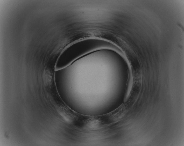 X0000093110456200709261254