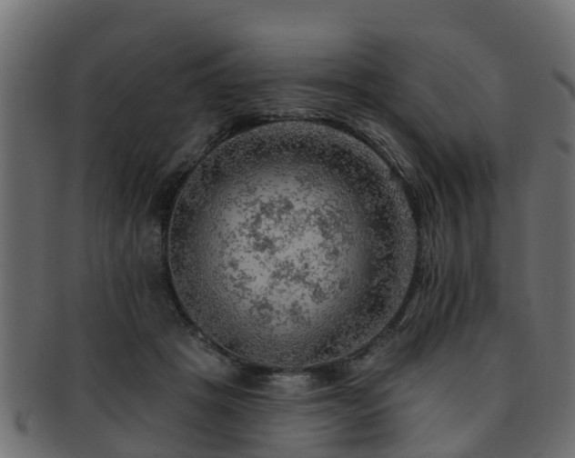 X0000093110457200709261254