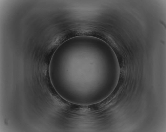 X0000093110458200709261254