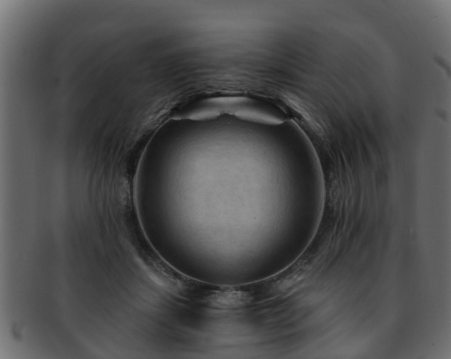 X0000093110459200709261254