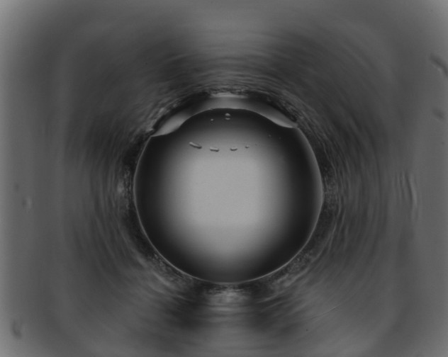 X0000093110460200709261254