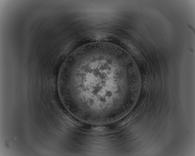 X0000093110461200709261254