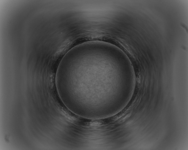 X0000093110462200709261254