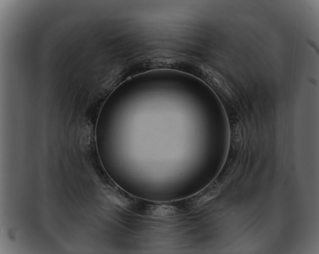 X0000093110463200709261254