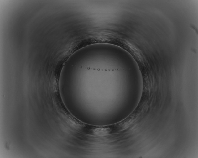 X0000093110465200709261254