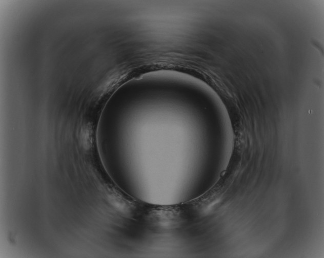 X0000093110466200709261254