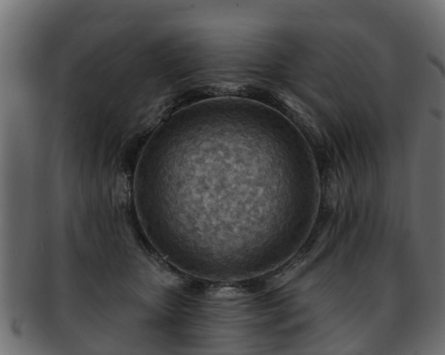 X0000093110467200709261254