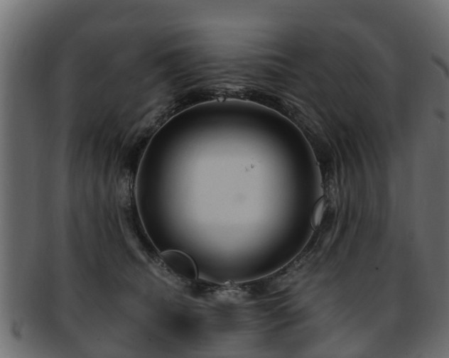X0000093110468200709261254