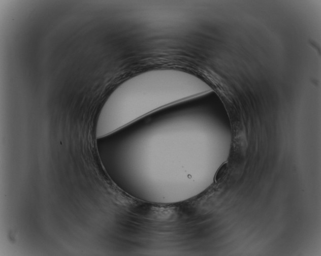X0000093110469200709261254