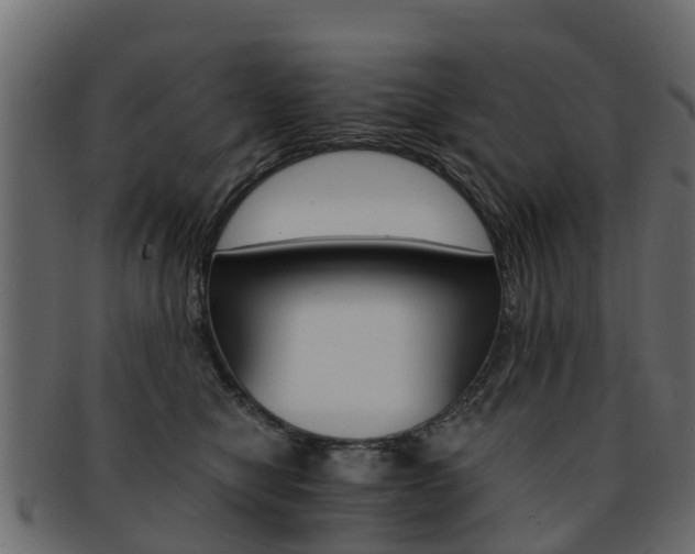 X0000093110470200709261254