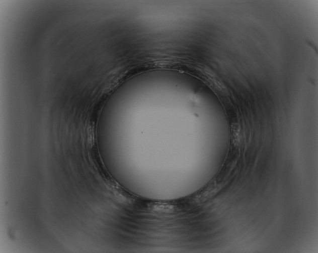 X0000093110471200709261254