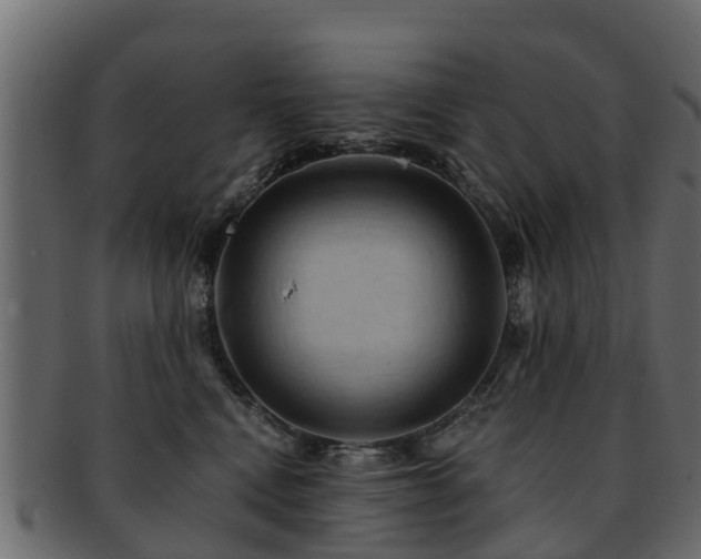 X0000093110472200709261254