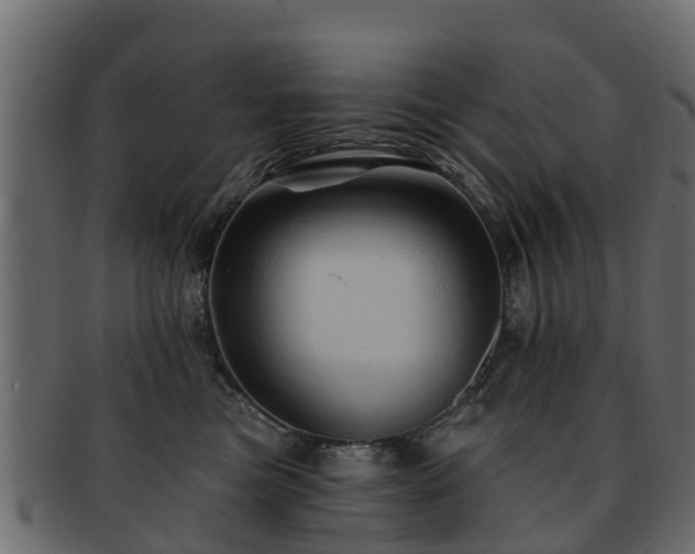 X0000093110473200709261254
