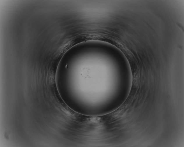 X0000093110474200709261254
