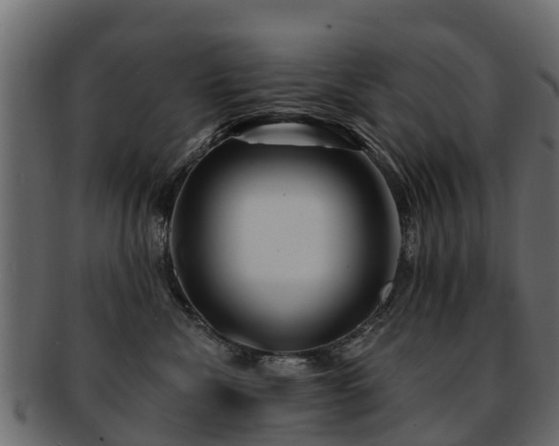 X0000093110476200709261254