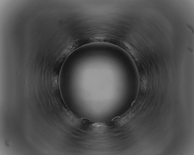 X0000093110477200709261254
