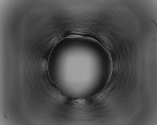 X0000093110478200709261254