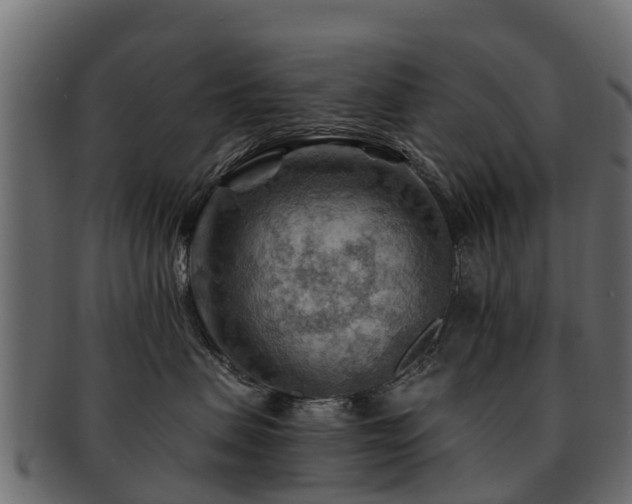 X0000093110479200709261254