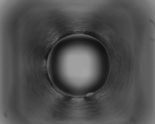 X0000093110480200709261254