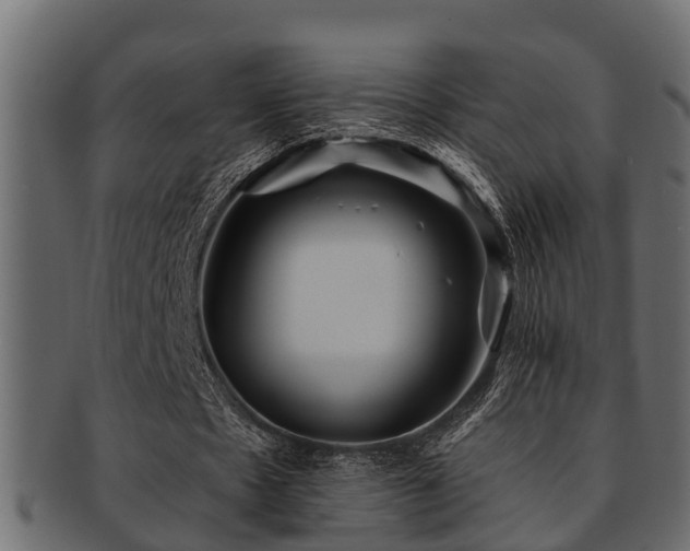 X0000093110481200709261254