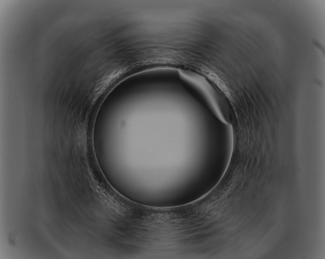 X0000093110482200709261254