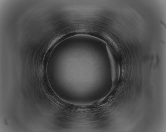 X0000093110484200709261253