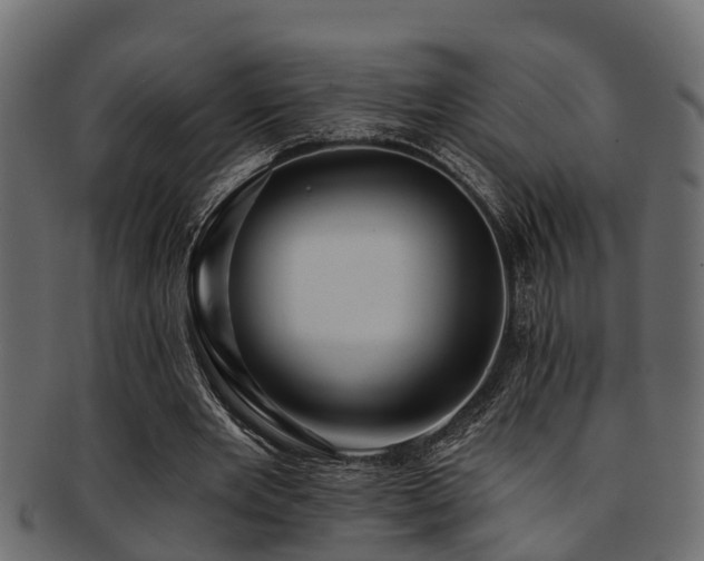 X0000093110485200709261253