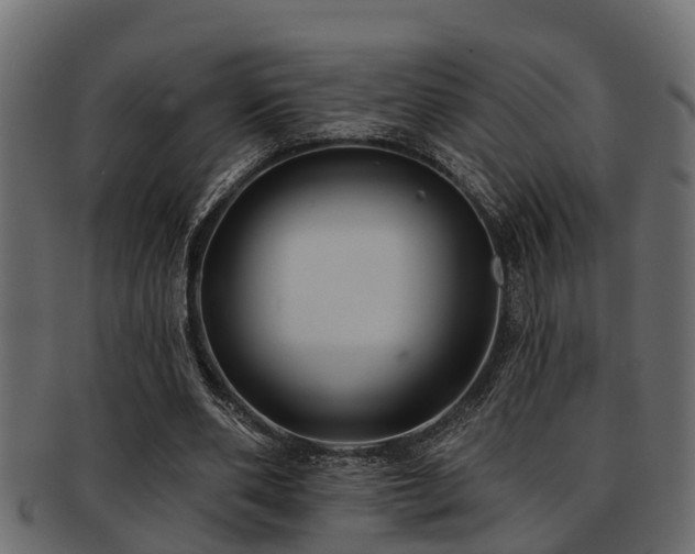 X0000093110486200709261253