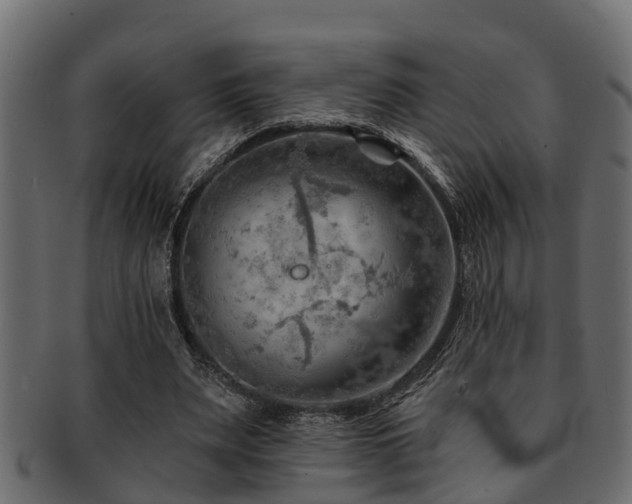 X0000093110487200709261253