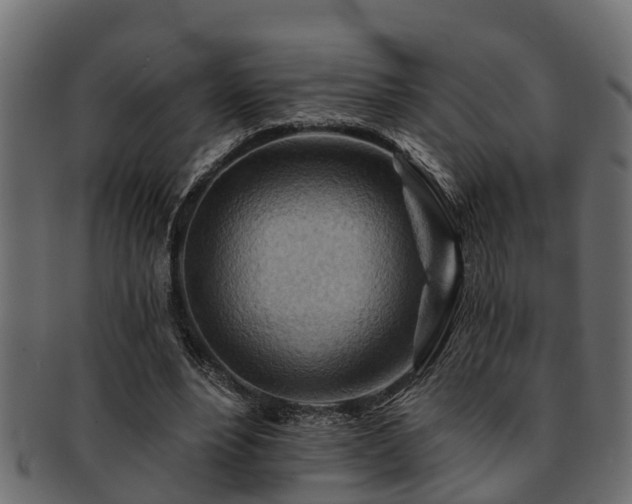 X0000093110488200709261253