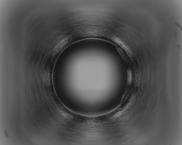 X0000093110489200709261253